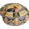 AHB Series 5 / Bitis Gabonica - Gaboon Viper Snake / Snake