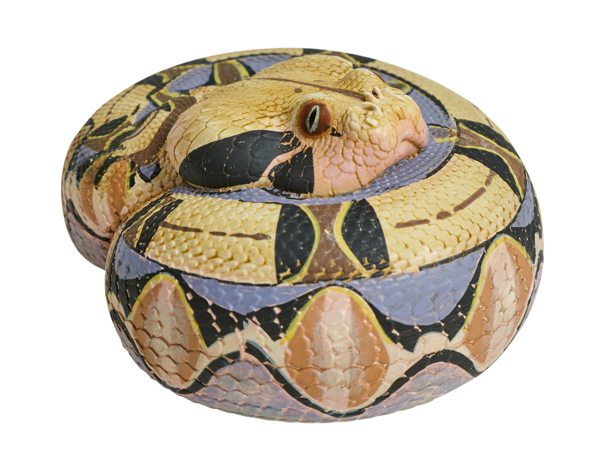 AHB Series 5 / Bitis Gabonica - Gaboon Viper Snake / Snake