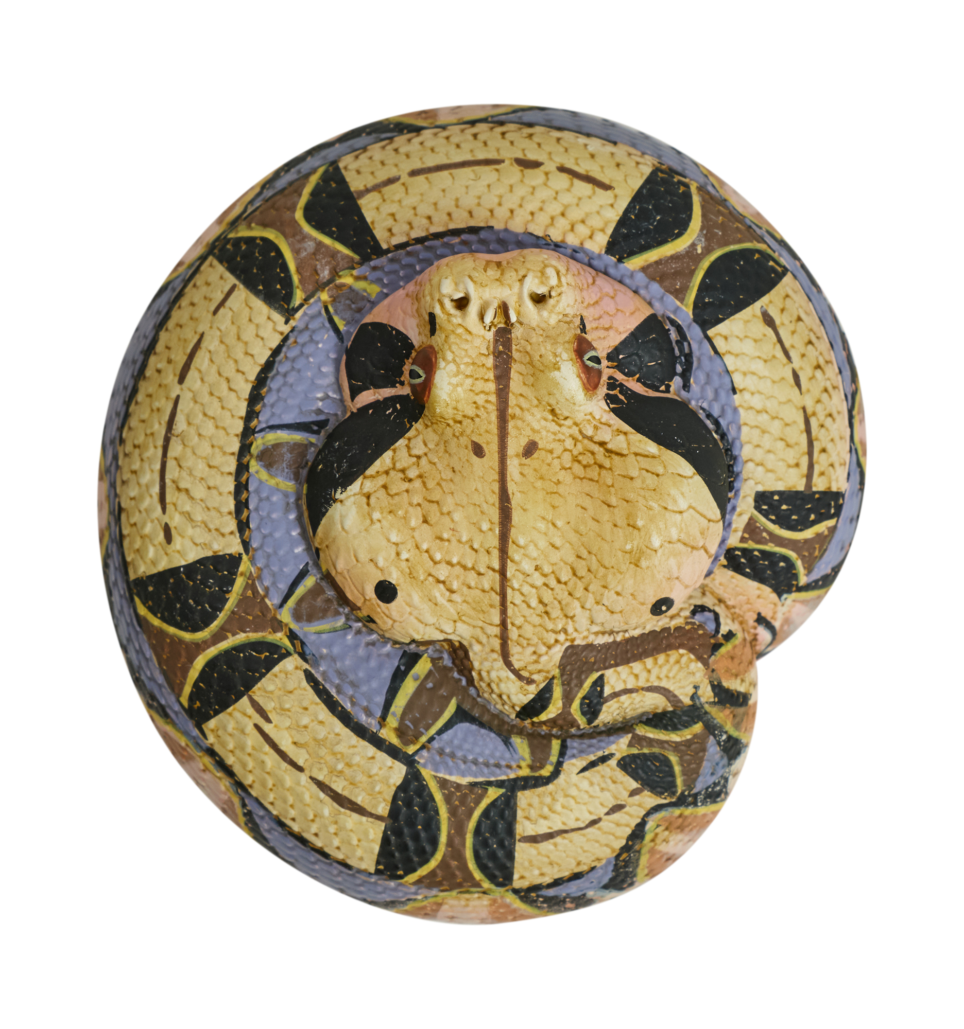 AHB Series 5 / Bitis Gabonica - Gaboon Viper Snake / Snake
