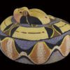 AHB Series 5 / Bitis Gabonica - Gaboon Viper Snake / Snake