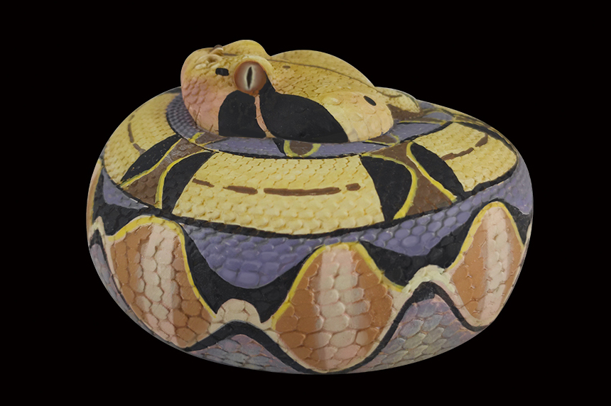 AHB Series 5 / Bitis Gabonica - Gaboon Viper Snake / Snake