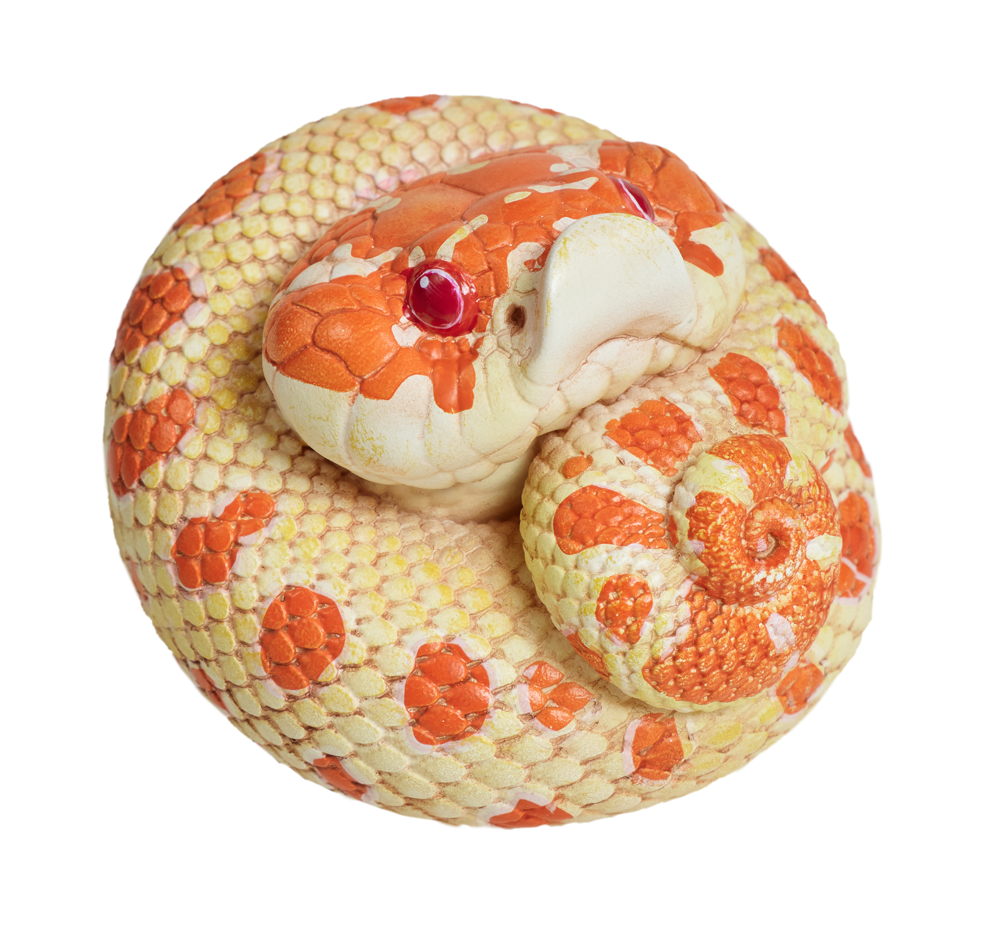 AHB Series 5 / Eterodon Nasicus - Extreme Red Hognose Snake / Snake
