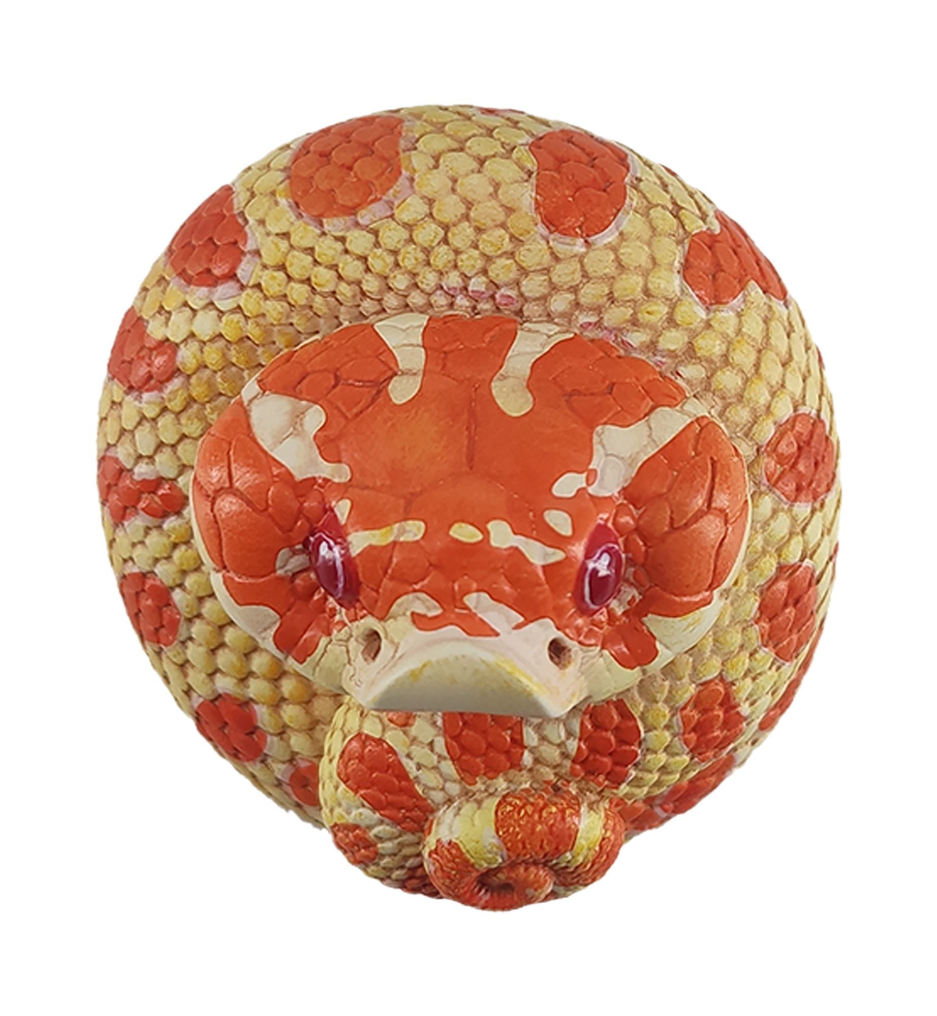 AHB Series 5 / Eterodon Nasicus - Extreme Red Hognose Snake / Snake