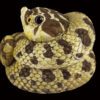 AHB Series 5 / Eterodon Nasicus - Western Hognose Snake / Snake