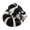 AHB Series 5 / Lampropeltis Getula Californiae - California Kingsnake / Snake