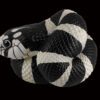 AHB Series 5 / Lampropeltis Getula Californiae - California Kingsnake / Snake