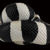 AHB Series 5 / Lampropeltis Getula Californiae - California Kingsnake / Snake