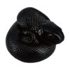 AHB Series 5 / Lampropeltis Getula Nigrita - Mexican Black Kingsnake / Snake