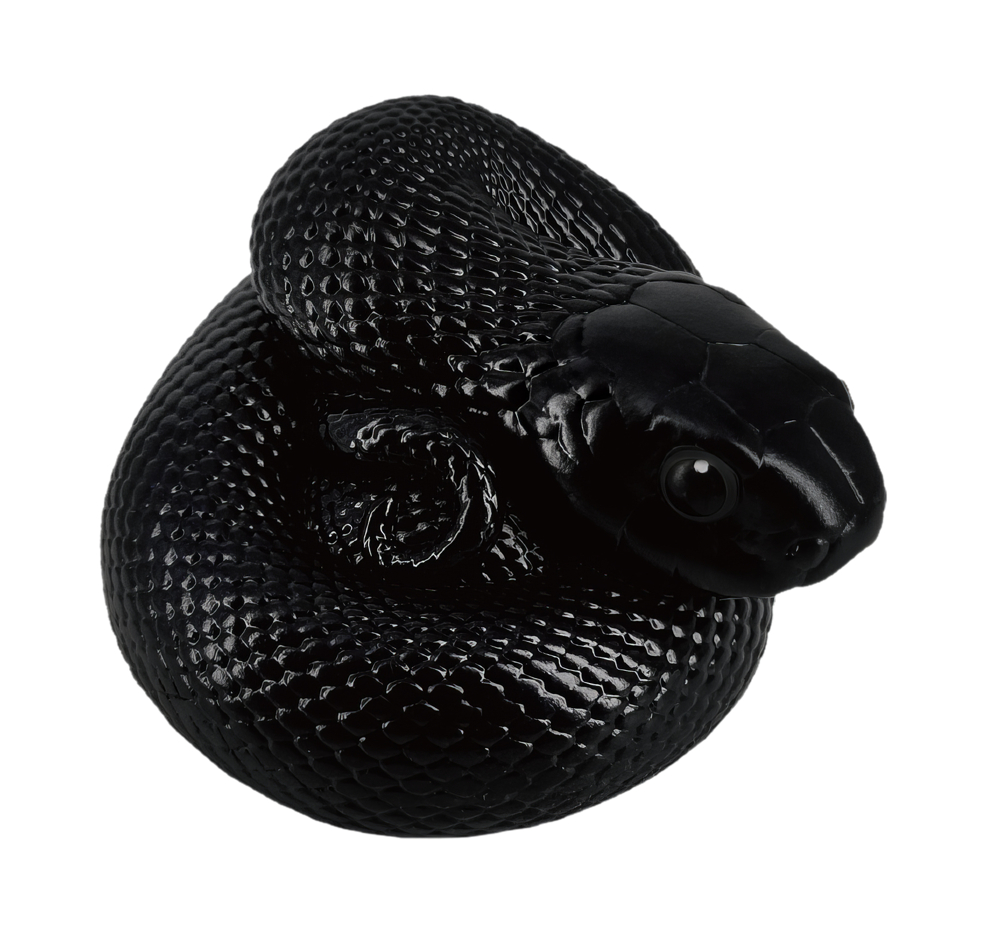 AHB Series 5 / Lampropeltis Getula Nigrita - Mexican Black Kingsnake / Snake
