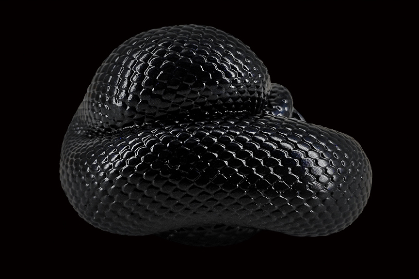AHB Series 5 / Lampropeltis Getula Nigrita - Mexican Black Kingsnake / Snake