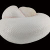AHB Series 5 / Python Regius - Leucistic Ball Python / Snake