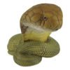 AHB Series 5 / Ophiophagus Hannah - King Cobra / Snake