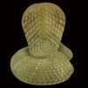 AHB Series 5 / Ophiophagus Hannah - King Cobra / Snake