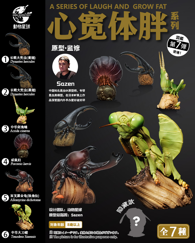 AHB Series 7 / Dynastes Hercules - Hercules Beetle (Black) / Insect