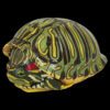 AHB Series 3 / Trachemys scripta elegans - Red-eared Slider / Turtle