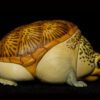 AHB Series 8 / Claudius angustatus - Narrow-Bridged Musk Turtle / Turtle