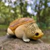 AHB Series 8 / Claudius angustatus - Narrow-Bridged Musk Turtle / Turtle