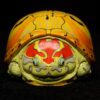 AHB Series 8 / Trachemys - Slider / Turtle