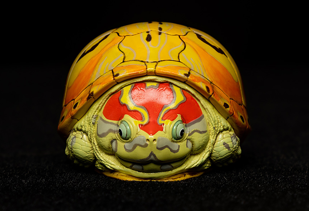 AHB Series 8 / Trachemys - Slider / Turtle