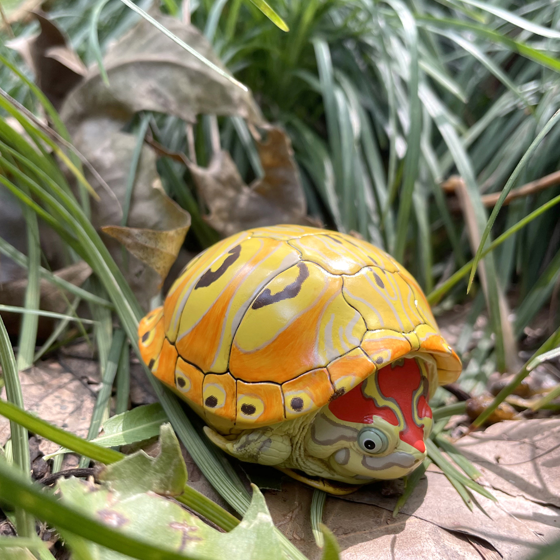 AHB Series 8 / Trachemys - Slider / Turtle