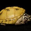 AHB Series 8 / Staurotypus triporcatus - Mexican Giant Musk Turtle / Turtle