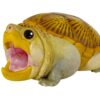 AHB Series 8 / Claudius angustatus (Mouth Open) - Narrow-Bridged Musk Turtle / Turtle