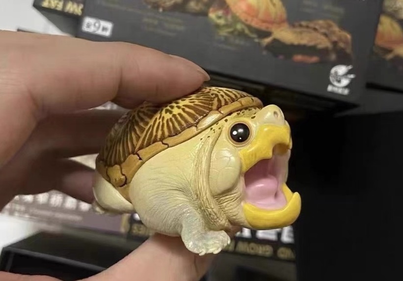 AHB Series 8 / Claudius angustatus (Mouth Open) - Narrow-Bridged Musk Turtle / Turtle