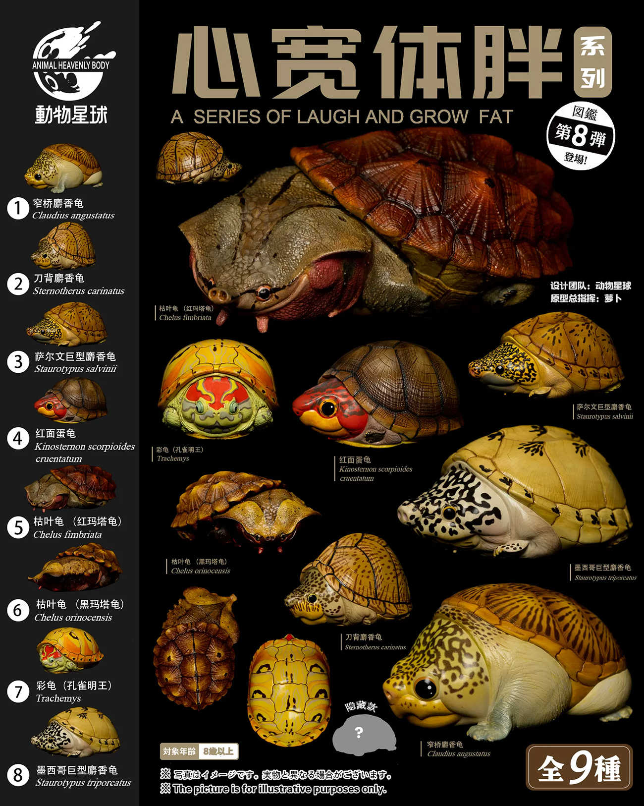 AHB Series 8 / Claudius angustatus (Mouth Open) - Narrow-Bridged Musk Turtle / Turtle