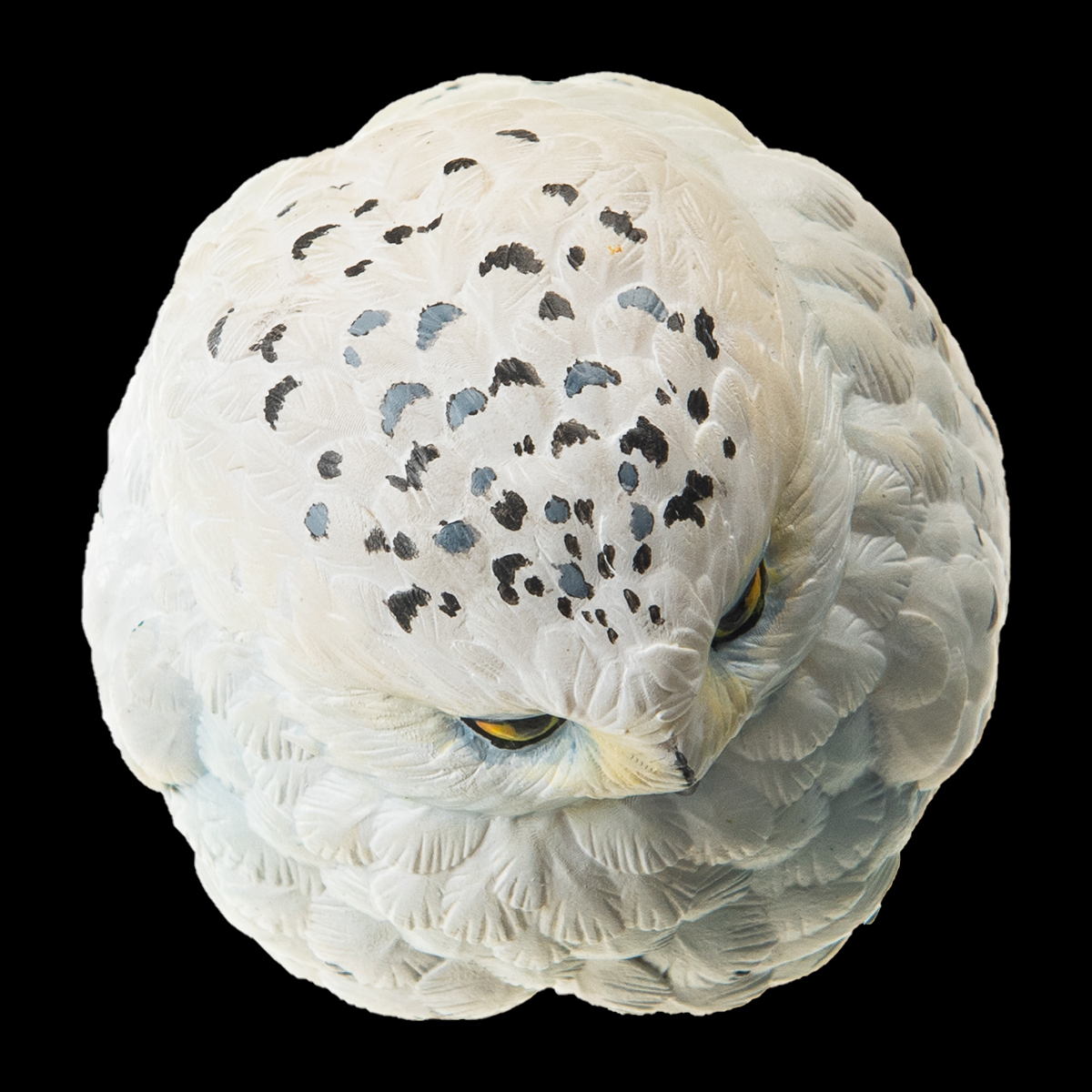 AHB Series 10 / Bubo scandiaca - Snowy Owl / Bird