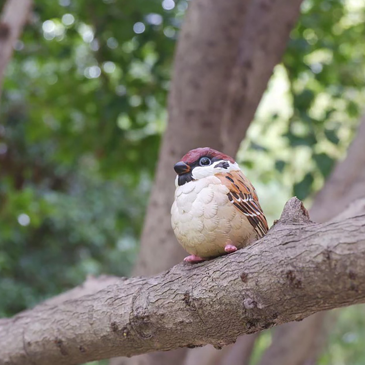 AHB Series 10 / Passer montanus - Eurasian Tree Sparrow / Bird