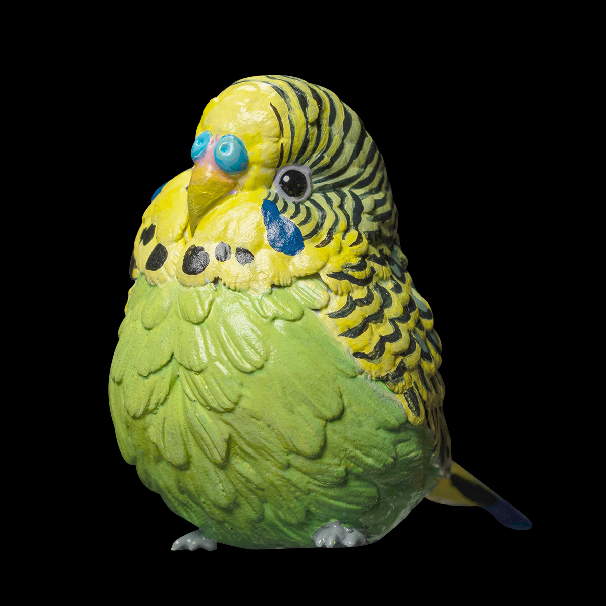 AHB Series 10 / Melopsittacus undulatus (Green) - Green Budgerigar / Bird