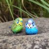 AHB Series 10 / Melopsittacus undulatus (Blue) - Blue Budgerigar / Bird