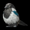 AHB Series 10 / Pica pica - Eurasian Magpie / Bird