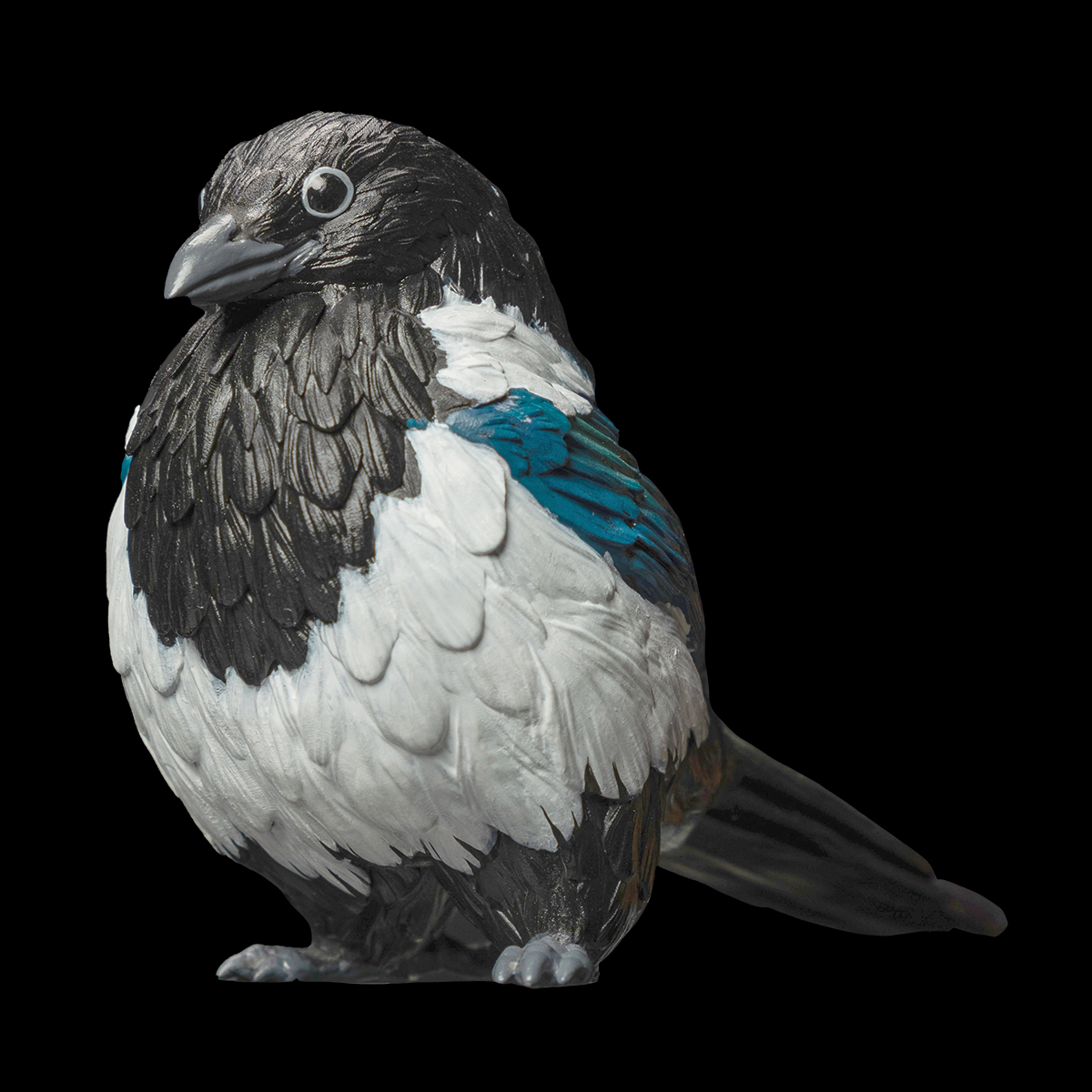 AHB Series 10 / Pica pica - Eurasian Magpie / Bird
