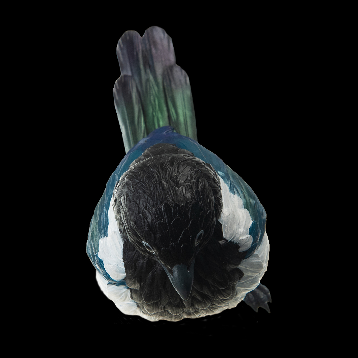 AHB Series 10 / Pica pica - Eurasian Magpie / Bird