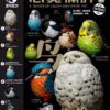 AHB Series 10 / Passer montanus (Mouth Open) - Eurasian Tree Sparrow / Bird