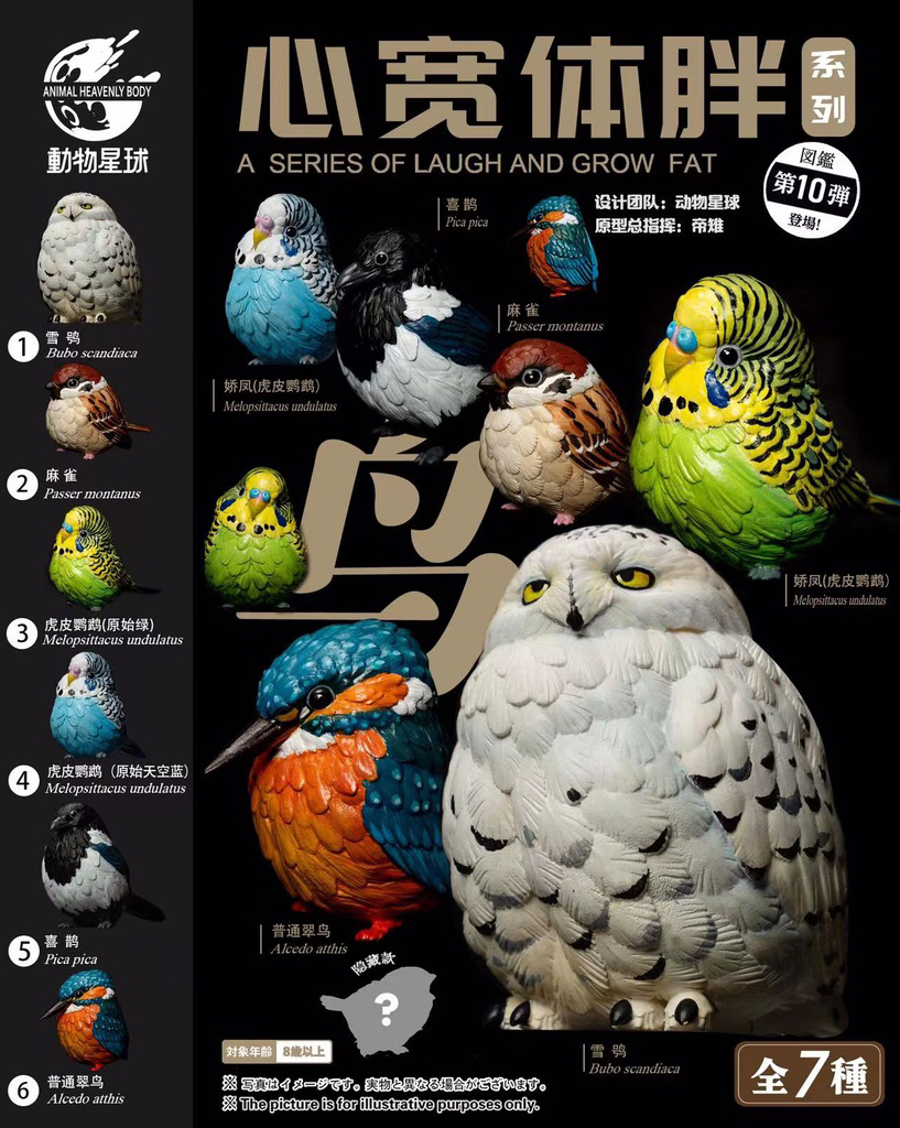 AHB Series 10 / Passer montanus (Mouth Open) - Eurasian Tree Sparrow / Bird