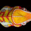 AHB Series 15 / Furcifer pardalis - Andapa - Panther Chameleon / Chameleon