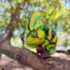 AHB Series 15 / Chamaeleo calyptoratus (Green) - Veiled Chameleon / Chameleon