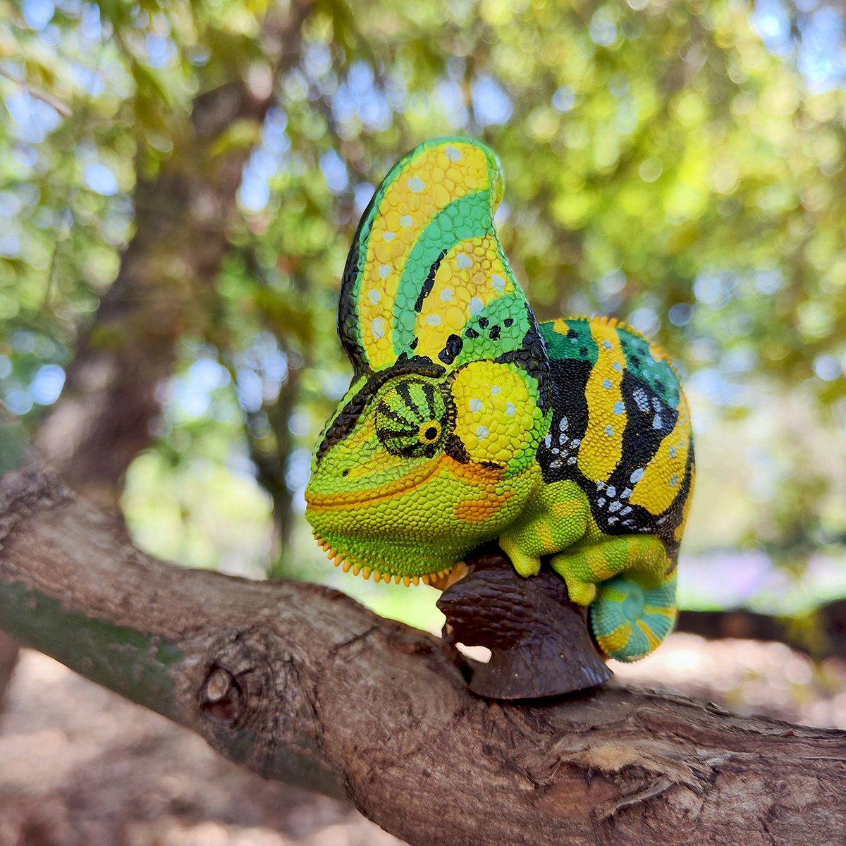 AHB Series 15 / Chamaeleo calyptoratus (Green) - Veiled Chameleon / Chameleon