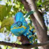 AHB Series 15 / Chamaeleo calyptoratus (Blue) - Veiled Chameleon / Chameleon