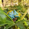 AHB Series 15 / Calumma parsonii - Parson’s Chameleon / Chameleon
