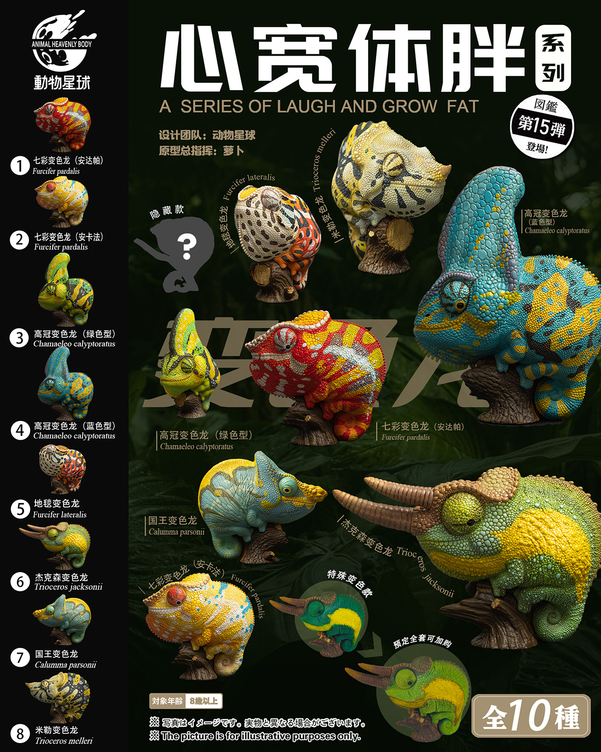 AHB Series 15 / Chamaeleo calyptoratus (Blue) - Veiled Chameleon / Chameleon