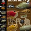 AHB Series 12 / Polypterus endlicheri - Saddled Bichir / Fish