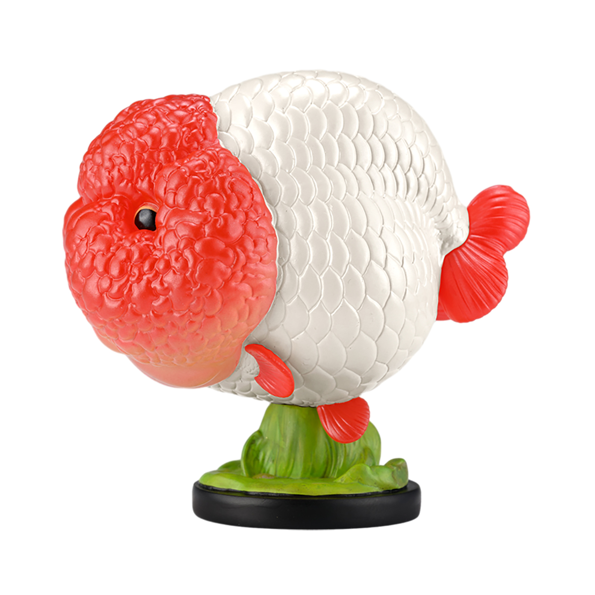 AHB Series 21 / Carassius auratus (Red Head Ranchu Goldfish) / Fish