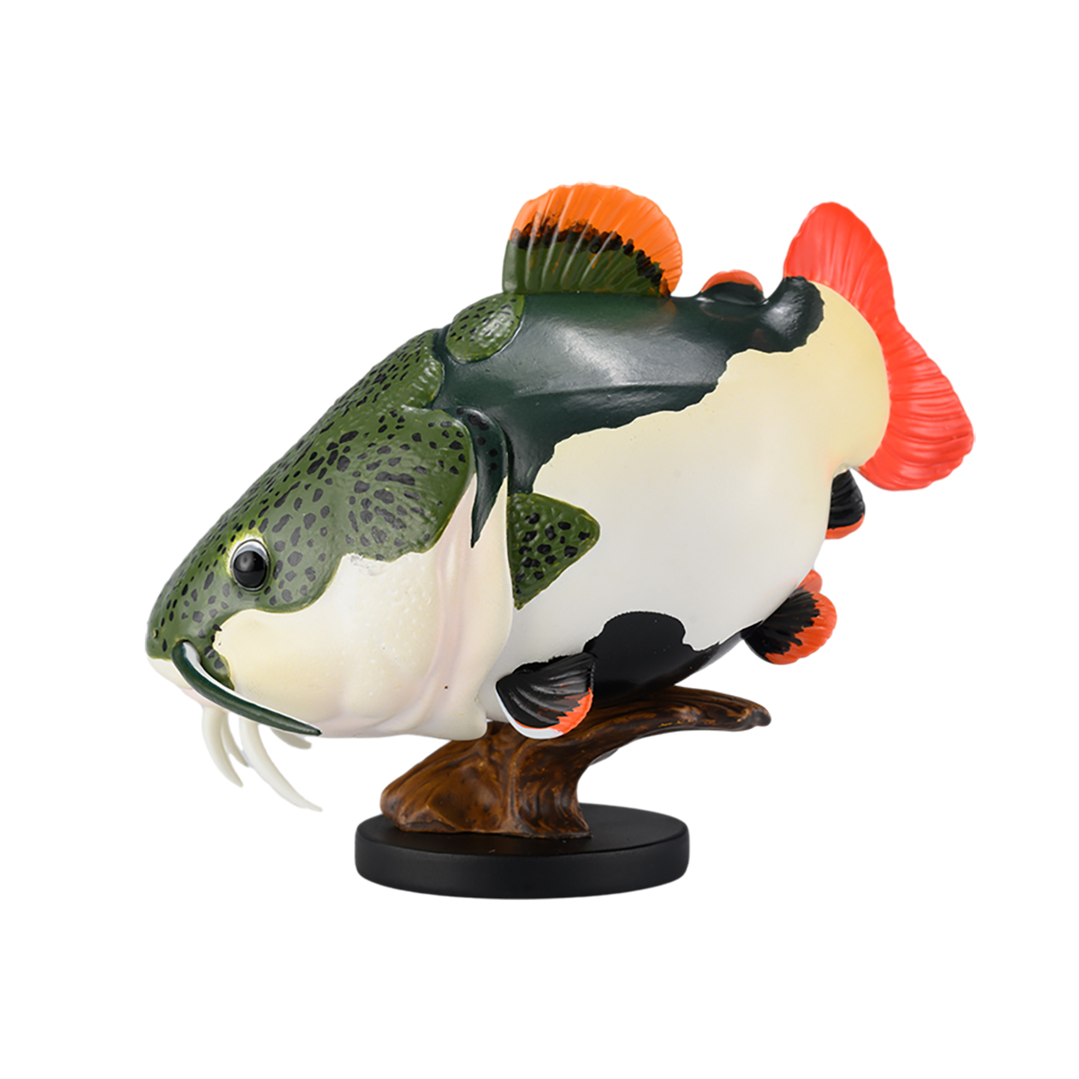 AHB Series 21 / Phractocephalus hemioliopterus / Fish