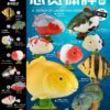 AHB Series 21 / Cyprinus carpio (Asagi Koi) / Fish