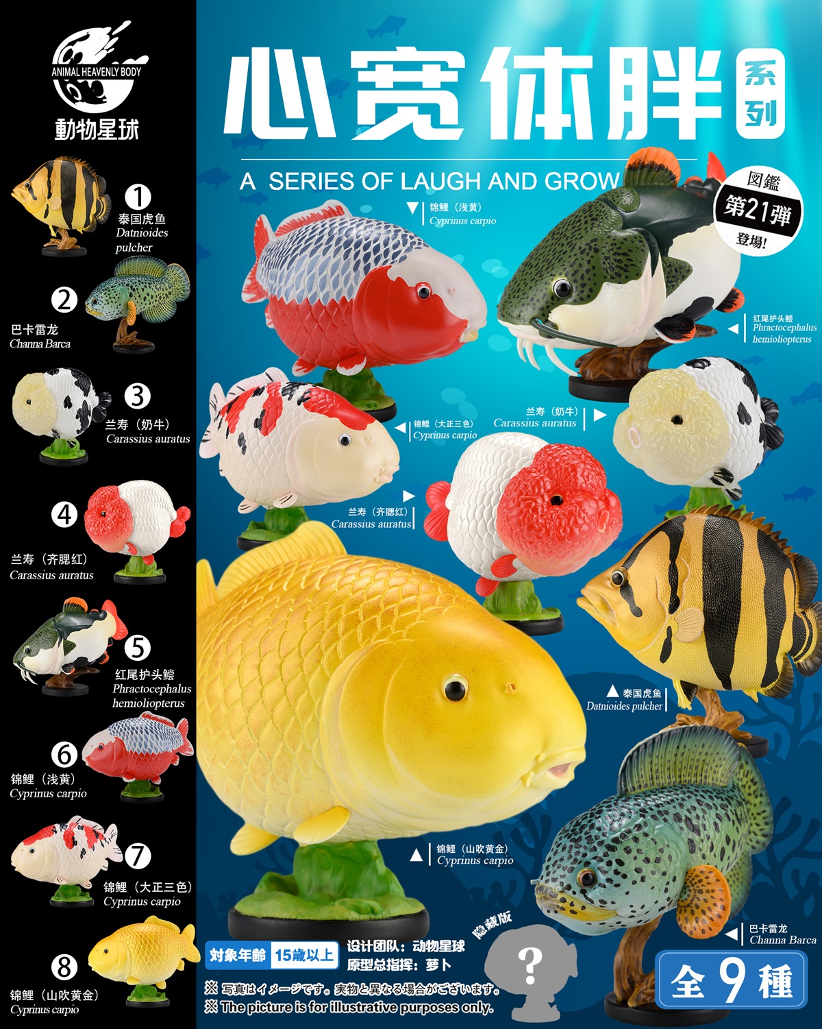 AHB Series 21 / Cyprinus carpio (Asagi Koi) / Fish