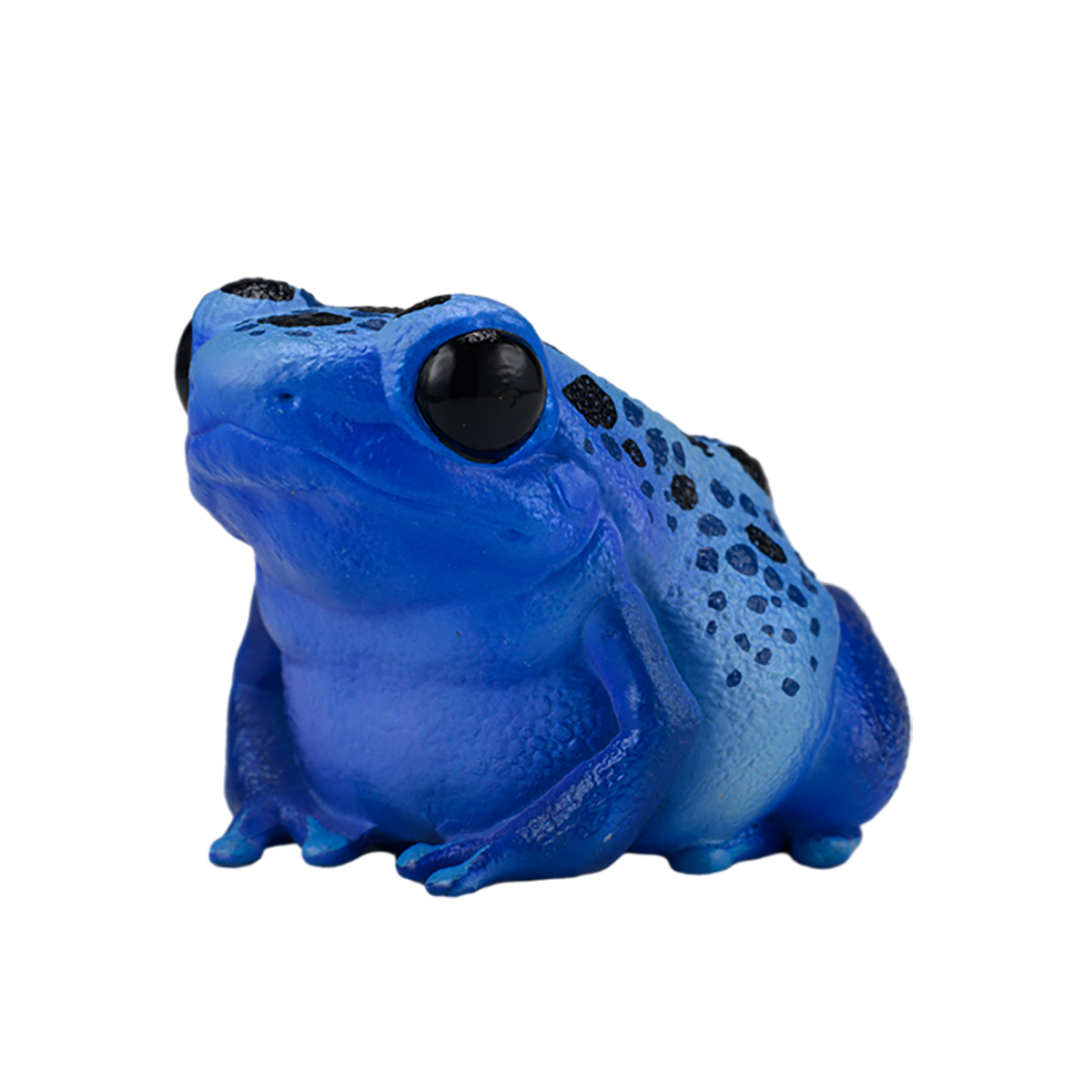 AHB Series 20 / Dendrobates tinctorius - Dyeing Dart Frog / Frog