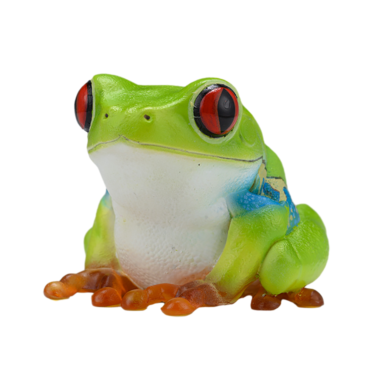 AHB Series 20 / Agalychnis callidryas - Red-eyed Tree Frog / Frog